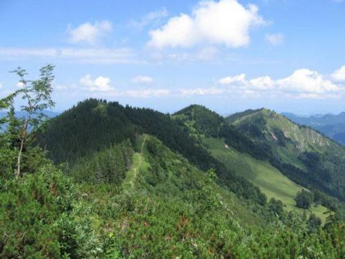 Landgasthof Kirchenwirt Grossraming Zewnętrze zdjęcie