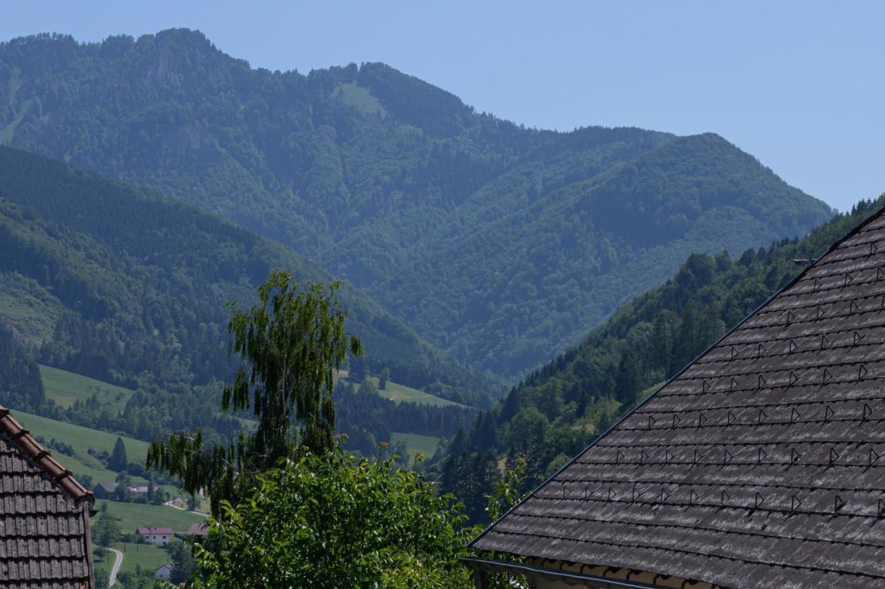Landgasthof Kirchenwirt Grossraming Zewnętrze zdjęcie